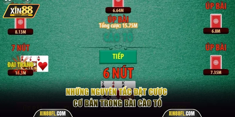 Những nguyên tắc đặt cược cơ bản trong bài cào tố