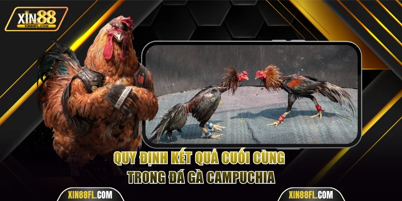 Quy định kết quả cuối cùng trong đá gà Campuchia