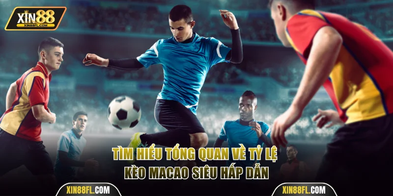 Tìm hiểu tổng quan về tỷ lệ kèo Macao